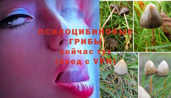 наркотики Вяземский