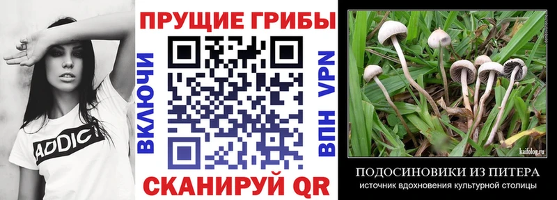 Псилоцибиновые грибы Magic Shrooms  Купить где  Урень 